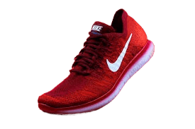 Shoe